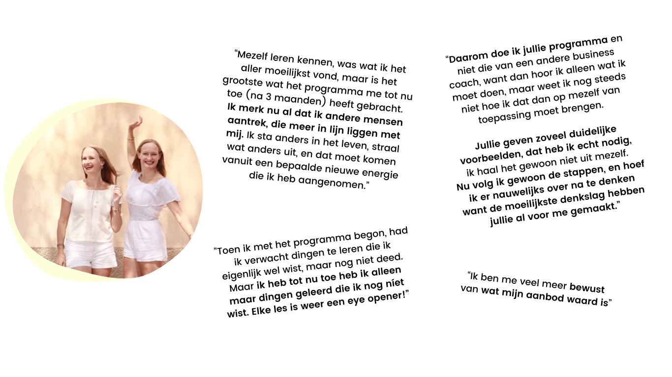 Testimonials VIMM programma in vakjes 1 desktop