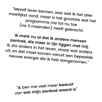 Testimonials VIMM programma in vakjes 1 mobiel deel 2
